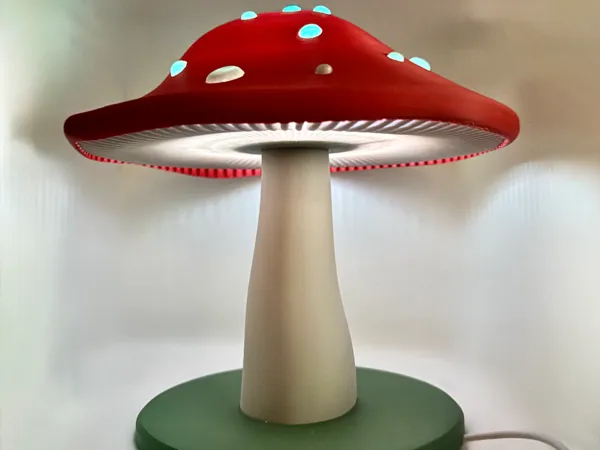 https://makerworld.bblmw.com/makerworld/model/USc8607f8e9091c9/design/2025-11-01_a5482b612ec01.jpeg
