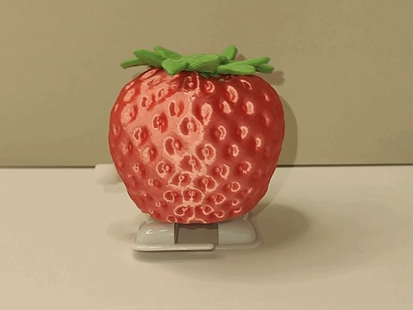 https://makerworld.bblmw.com/makerworld/model/USc8644aefeae966/design/2024-08-30_909bc508313b1.gif