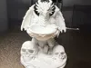 Ancient Dragon Key Keeper – Old World Magic Edition
