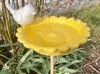 Bird bath