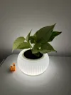 For 10cm pots