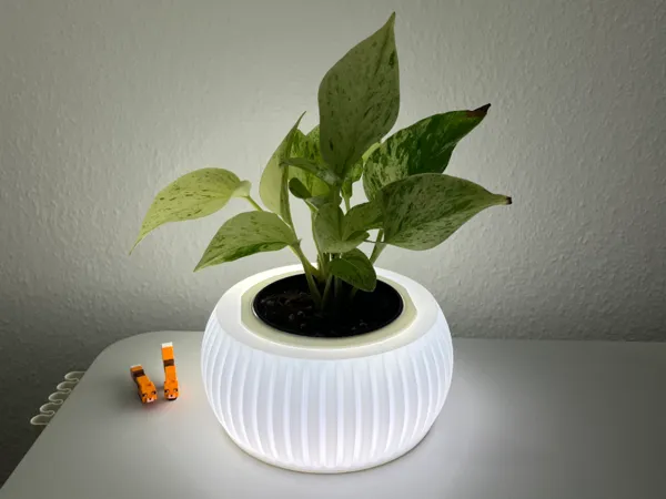 https://makerworld.bblmw.com/makerworld/model/USc8768f1f5770c1/design/2025-02-14_c472fef41b3b98.jpeg