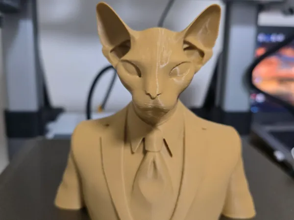 https://makerworld.bblmw.com/makerworld/model/USc879fe7af0b526/design/2025-02-07_23437316f95fc.jpg