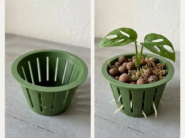 https://makerworld.bblmw.com/makerworld/model/USc87a664f55f551/design/188fd85ac116b2cf.jpg