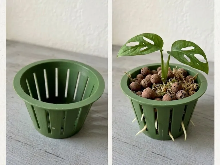 Net Pot Universal Parametric Semi-Hydro (LECA/Pon)