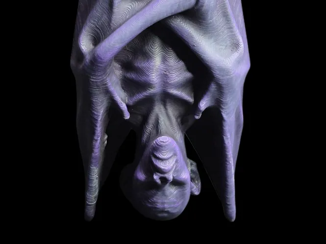 Hanging Vampire