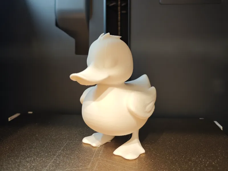 Cute Duck