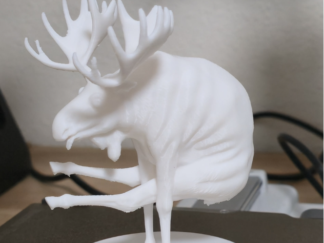 moose acrobat