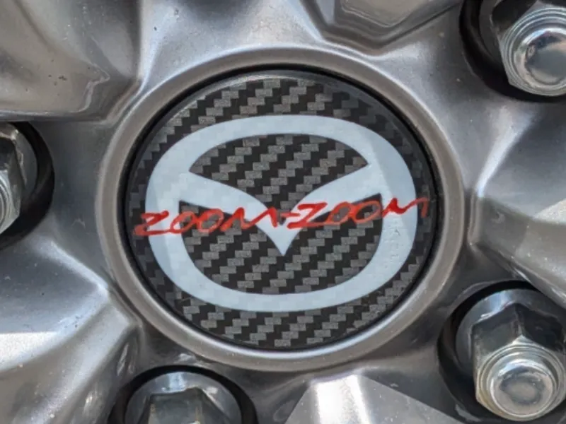 Center Wheel Hub Caps
