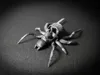 Skull Spider - Single