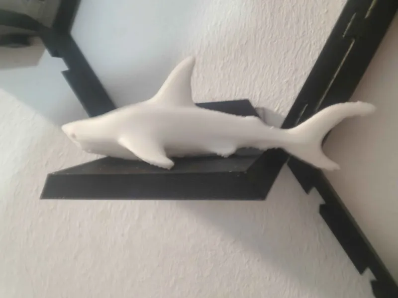 Simple Shark
