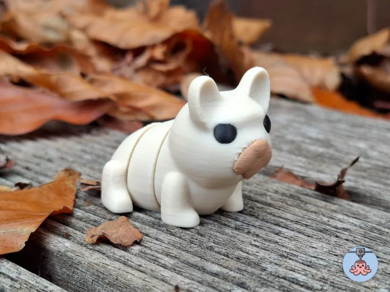 Cute Flexi  French Bulldog 