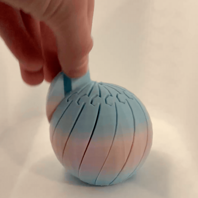 Twisty Fidget Ball