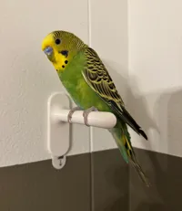 Petit perchoir pour oiseau — photo 2