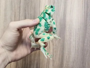 Letrero o emblema decorativo: Realistic Flexi Green Toad — vista de referencia 5