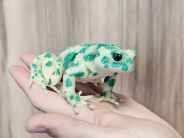 Letrero o emblema decorativo: Realistic Flexi Green Toad — vista de referencia 3