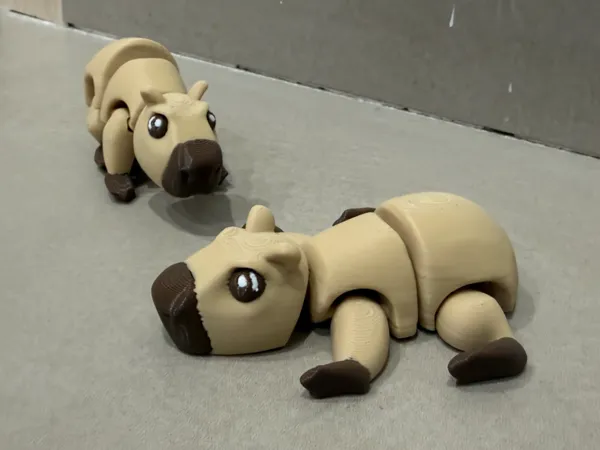 https://makerworld.bblmw.com/makerworld/model/USc889ed0332ac9/design/565bdc2d3504953d.jpeg