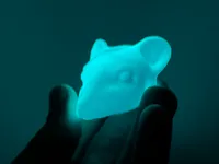 0.16mm layer, 2 walls, 10% infill