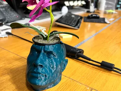 The Rock - Planter