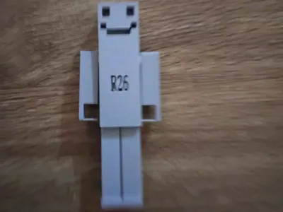 ragdoll 26 (R26)