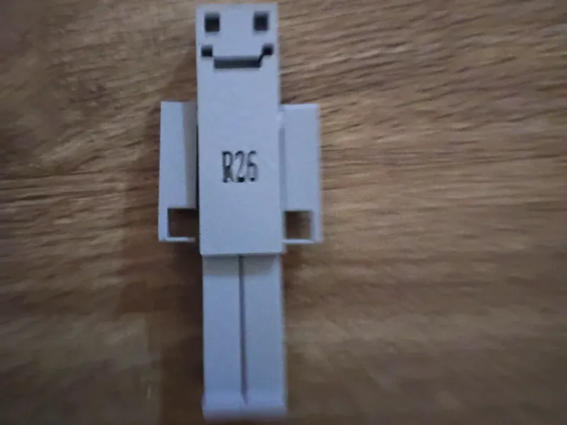 ragdoll 26 (R26)