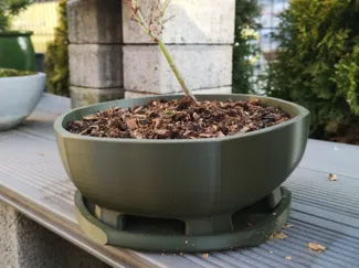 hexagon bonsai pot with tray
