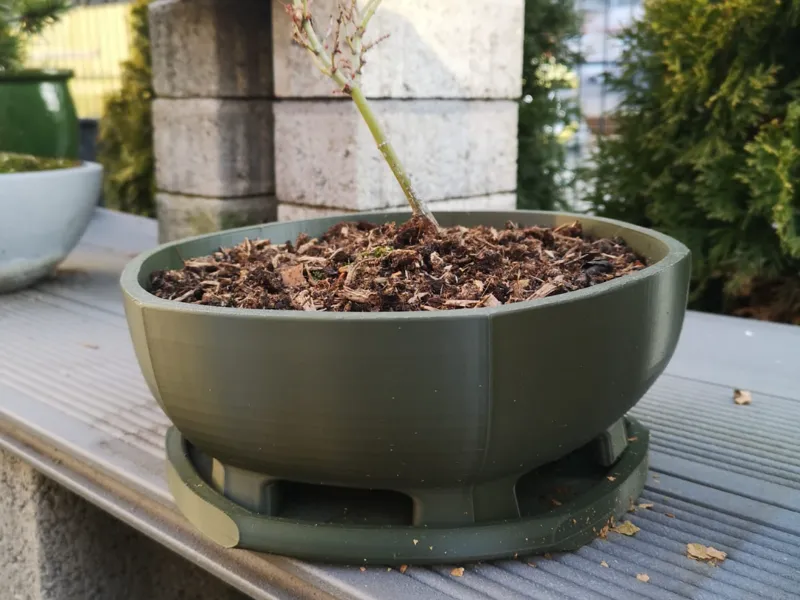 hexagon bonsai pot with tray