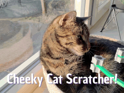 Cat Scratcher / Massager (or dogs of course) 