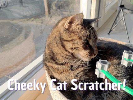 Cat Scratcher / Massager (or dogs of course) 