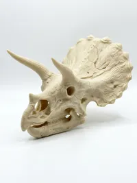 Max Size 0.2mm layer, 2 walls, 15% infill
