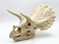 Mid Size 0.2mm layer, 2 walls, 15% infill