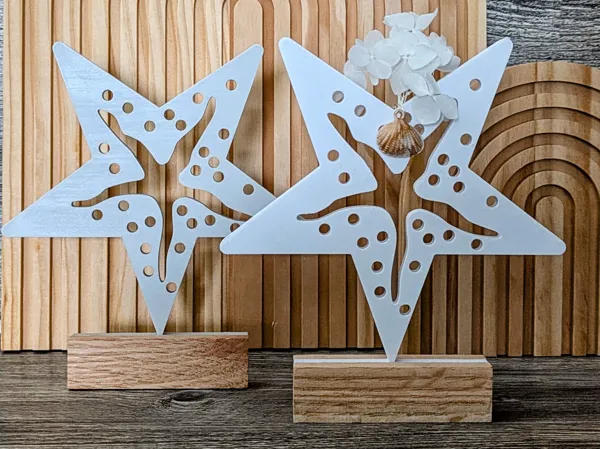 https://makerworld.bblmw.com/makerworld/model/USc8aedb58d933bd/design/2025-05-27_179aafeb73018.jpg