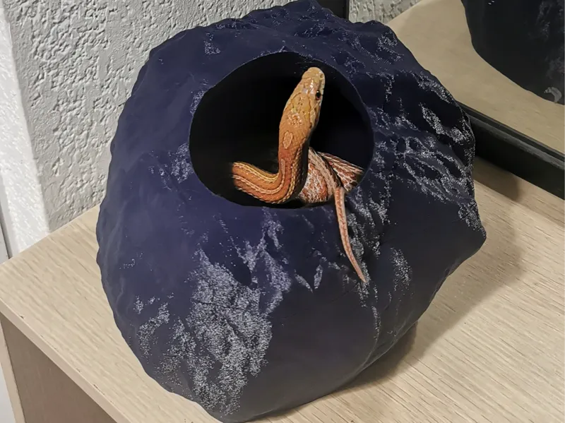 stone pet moulting box