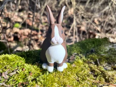 Cute Easter Bunny