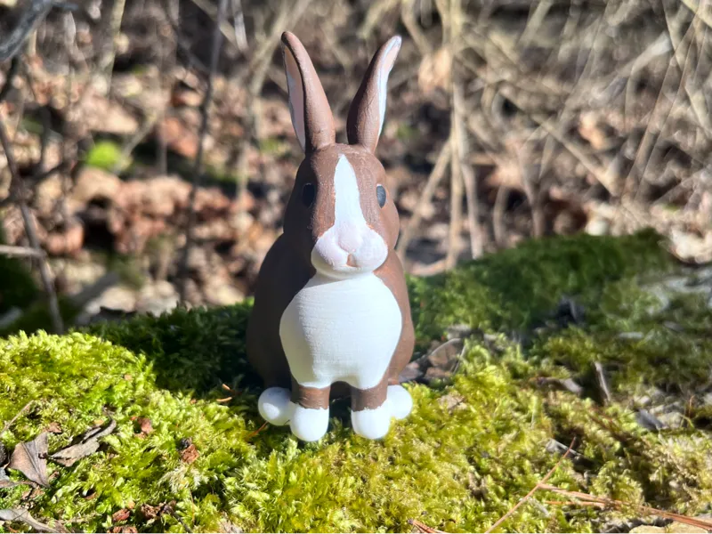 Cute Easter Bunny
