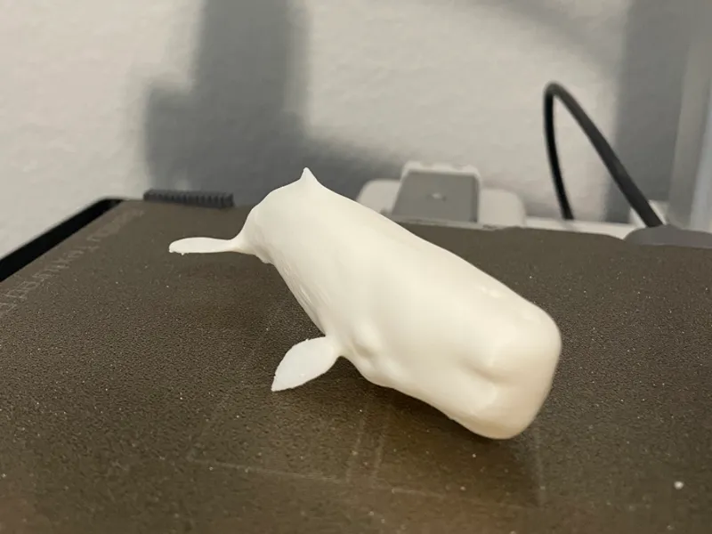 Sperm Whale