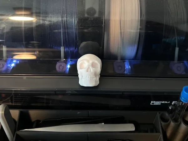 https://makerworld.bblmw.com/makerworld/model/USc8b3ea93416587/design/2024-07-21_abfe7469b0994.jpg