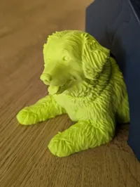 Bernedoodle