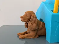 Cocker Spaniel