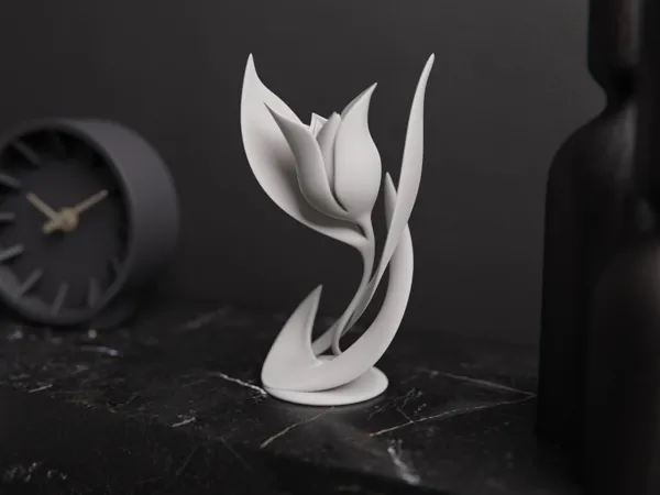 https://makerworld.bblmw.com/makerworld/model/USc8c945e326867/design/2025-01-20_845b5adf0f5a9.png