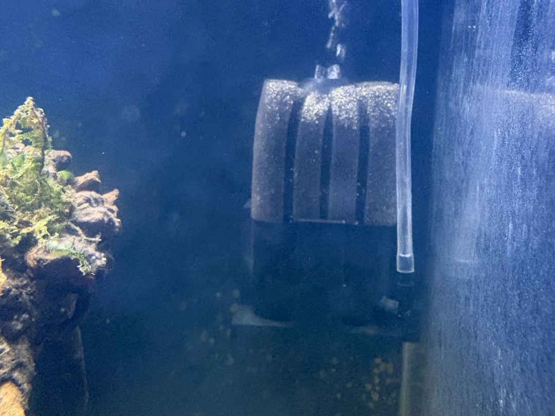 Aquarium Sponge Filter Rack