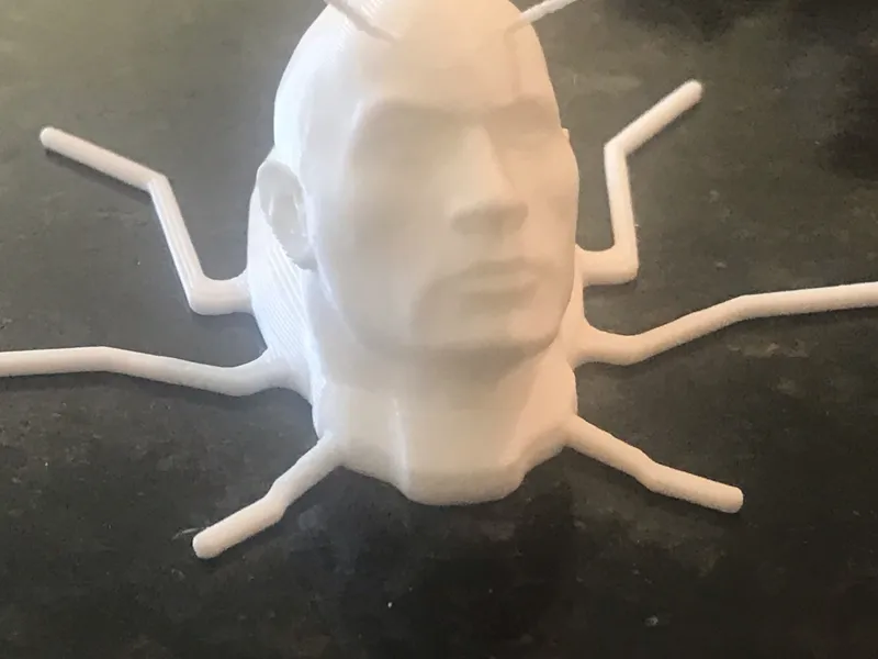 Dwayne the Rock Johnson Cockroach