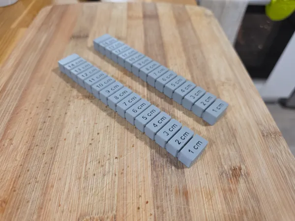 https://makerworld.bblmw.com/makerworld/model/USc8cfbf5a24f1e3/design/2025-10-05_d89095061dd9d8.jpg