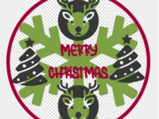 Merry Christmas ornament