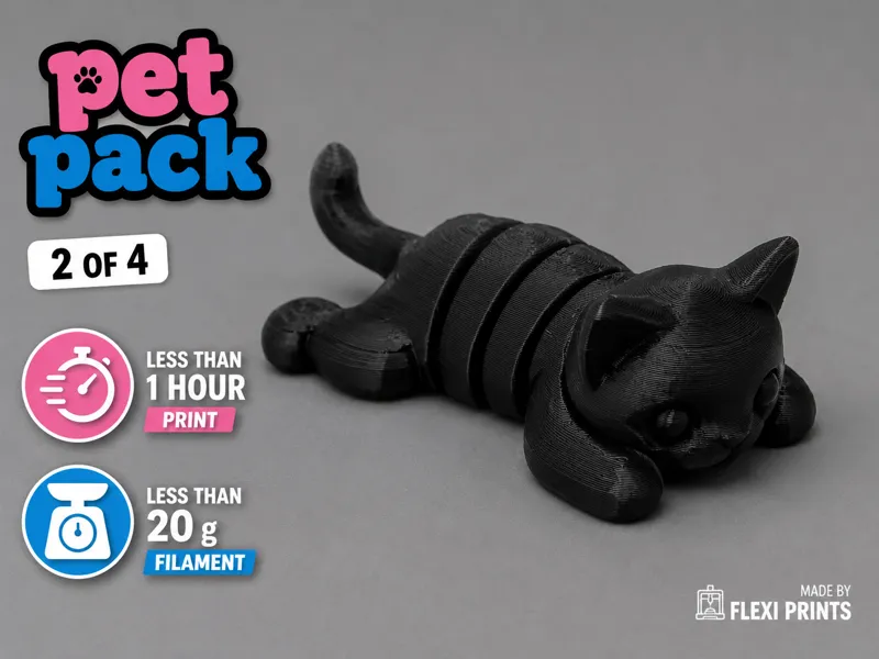 Flexi Cat