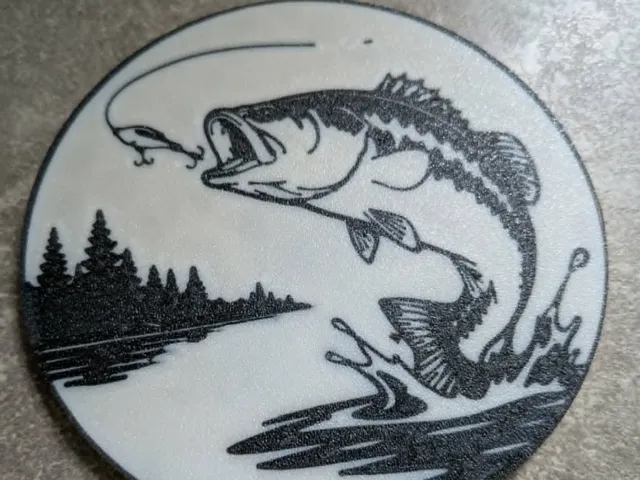 Bass Coaster