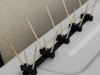 Simple Bird spikes with toothpick! pigeon control 