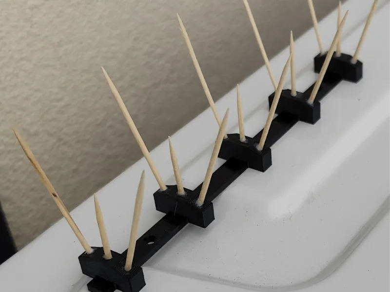 Simple Bird spikes with toothpick! pigeon control 