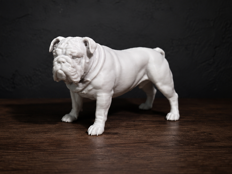 English bulldog - Animal - Dog - Decor