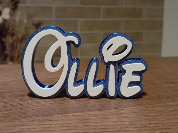 https://makerworld.bblmw.com/makerworld/model/USc8d6ef90fb76f6/design/2025-11-23_7a204da9a85878.jpeg